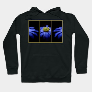 Blue Grecian Windflower Hoodie